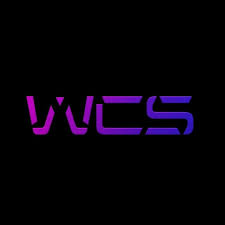 Western Cyber Society